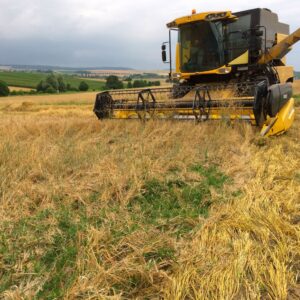 Protection-des-sols-Vente-directe-Produits-fermiers-Crion-Lunéville-Nancy
