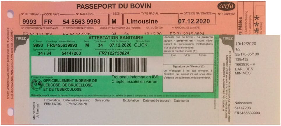 Passeport bovin - recto